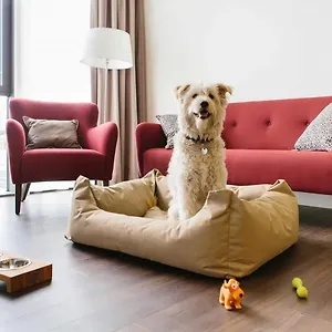 https://chester.hotelsheidelberg.net
